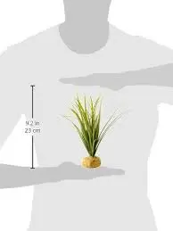 Exo Terra Turtle Grass